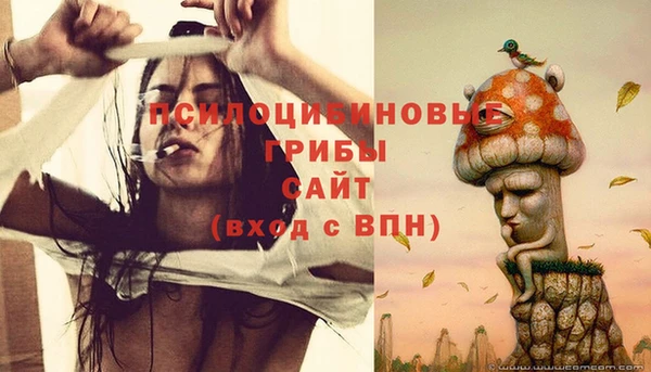 таблы Алзамай
