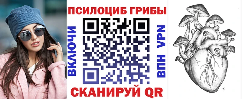 где найти наркотики  Юрьевец  Псилоцибиновые грибы Psilocybe 